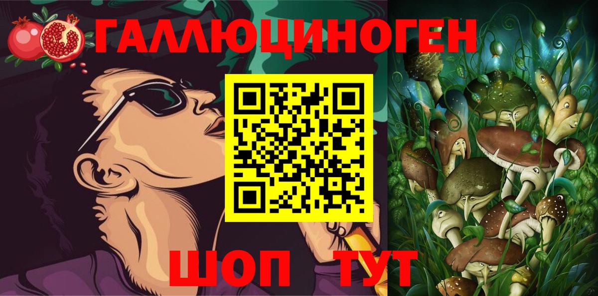 Калач-на-Дону  Псилоцибиновые грибы Psilocybine cubensis  Вход с VPN 